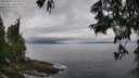 ./images/koeye/fitz-hugh/20250625/fitz-hugh20250625_103012M.jpg
