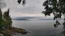 ./images/koeye/fitz-hugh/20250625/fitz-hugh20250625_103507M.jpg