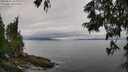 ./images/koeye/fitz-hugh/20250625/fitz-hugh20250625_104011M.jpg