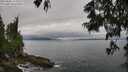 ./images/koeye/fitz-hugh/20250625/fitz-hugh20250625_104510M.jpg