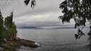 ./images/koeye/fitz-hugh/20250625/fitz-hugh20250625_105009M.jpg
