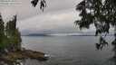 ./images/koeye/fitz-hugh/20250625/fitz-hugh20250625_105510M.jpg