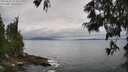 ./images/koeye/fitz-hugh/20250625/fitz-hugh20250625_112510M.jpg