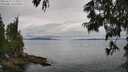 ./images/koeye/fitz-hugh/20250625/fitz-hugh20250625_113509M.jpg