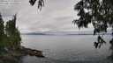 ./images/koeye/fitz-hugh/20250625/fitz-hugh20250625_114511M.jpg