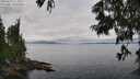 ./images/koeye/fitz-hugh/20250625/fitz-hugh20250625_115009M.jpg