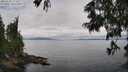./images/koeye/fitz-hugh/20250625/fitz-hugh20250625_115510M.jpg