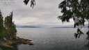 ./images/koeye/fitz-hugh/20250625/fitz-hugh20250625_120511M.jpg
