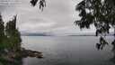./images/koeye/fitz-hugh/20250625/fitz-hugh20250625_121511M.jpg