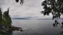 ./images/koeye/fitz-hugh/20250625/fitz-hugh20250625_122510M.jpg