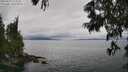 ./images/koeye/fitz-hugh/20250625/fitz-hugh20250625_123010M.jpg