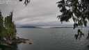 ./images/koeye/fitz-hugh/20250625/fitz-hugh20250625_125510M.jpg