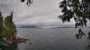 ./images/koeye/fitz-hugh/20250625/fitz-hugh20250625_130510M.jpg