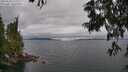 ./images/koeye/fitz-hugh/20250625/fitz-hugh20250625_131510M.jpg