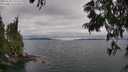 ./images/koeye/fitz-hugh/20250625/fitz-hugh20250625_132509M.jpg
