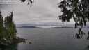 ./images/koeye/fitz-hugh/20250625/fitz-hugh20250625_133012M.jpg