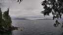 ./images/koeye/fitz-hugh/20250625/fitz-hugh20250625_133511M.jpg
