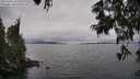 ./images/koeye/fitz-hugh/20250625/fitz-hugh20250625_134511M.jpg