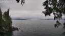 ./images/koeye/fitz-hugh/20250625/fitz-hugh20250625_135011M.jpg