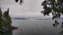./images/koeye/fitz-hugh/20250625/fitz-hugh20250625_135510M.jpg