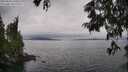 ./images/koeye/fitz-hugh/20250625/fitz-hugh20250625_140505M.jpg