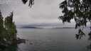 ./images/koeye/fitz-hugh/20250625/fitz-hugh20250625_141512M.jpg