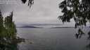 ./images/koeye/fitz-hugh/20250625/fitz-hugh20250625_142510M.jpg