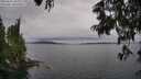 ./images/koeye/fitz-hugh/20250625/fitz-hugh20250625_143012M.jpg