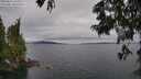 ./images/koeye/fitz-hugh/20250625/fitz-hugh20250625_143510M.jpg