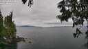 ./images/koeye/fitz-hugh/20250625/fitz-hugh20250625_144511M.jpg