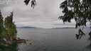 ./images/koeye/fitz-hugh/20250625/fitz-hugh20250625_145011M.jpg