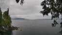 ./images/koeye/fitz-hugh/20250625/fitz-hugh20250625_145509M.jpg