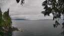 ./images/koeye/fitz-hugh/20250625/fitz-hugh20250625_150012M.jpg