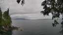 ./images/koeye/fitz-hugh/20250625/fitz-hugh20250625_150509M.jpg