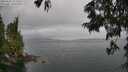 ./images/koeye/fitz-hugh/20250625/fitz-hugh20250625_151511M.jpg
