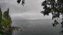 ./images/koeye/fitz-hugh/20250625/fitz-hugh20250625_152005M.jpg
