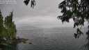 ./images/koeye/fitz-hugh/20250625/fitz-hugh20250625_152510M.jpg