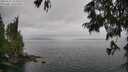 ./images/koeye/fitz-hugh/20250625/fitz-hugh20250625_153511M.jpg