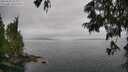 ./images/koeye/fitz-hugh/20250625/fitz-hugh20250625_154010M.jpg