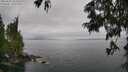 ./images/koeye/fitz-hugh/20250625/fitz-hugh20250625_154511M.jpg
