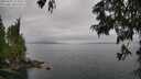 ./images/koeye/fitz-hugh/20250625/fitz-hugh20250625_155009M.jpg