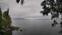 ./images/koeye/fitz-hugh/20250625/fitz-hugh20250625_155509M.jpg