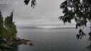 ./images/koeye/fitz-hugh/20250625/fitz-hugh20250625_160510M.jpg