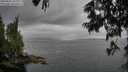 ./images/koeye/fitz-hugh/20250625/fitz-hugh20250625_163010M.jpg