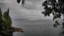 ./images/koeye/fitz-hugh/20250625/fitz-hugh20250625_164010M.jpg