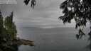 ./images/koeye/fitz-hugh/20250625/fitz-hugh20250625_164510M.jpg