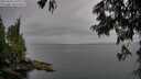 ./images/koeye/fitz-hugh/20250625/fitz-hugh20250625_170012M.jpg