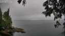 ./images/koeye/fitz-hugh/20250625/fitz-hugh20250625_172009M.jpg