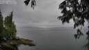 ./images/koeye/fitz-hugh/20250625/fitz-hugh20250625_173509M.jpg