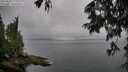 ./images/koeye/fitz-hugh/20250625/fitz-hugh20250625_174011M.jpg